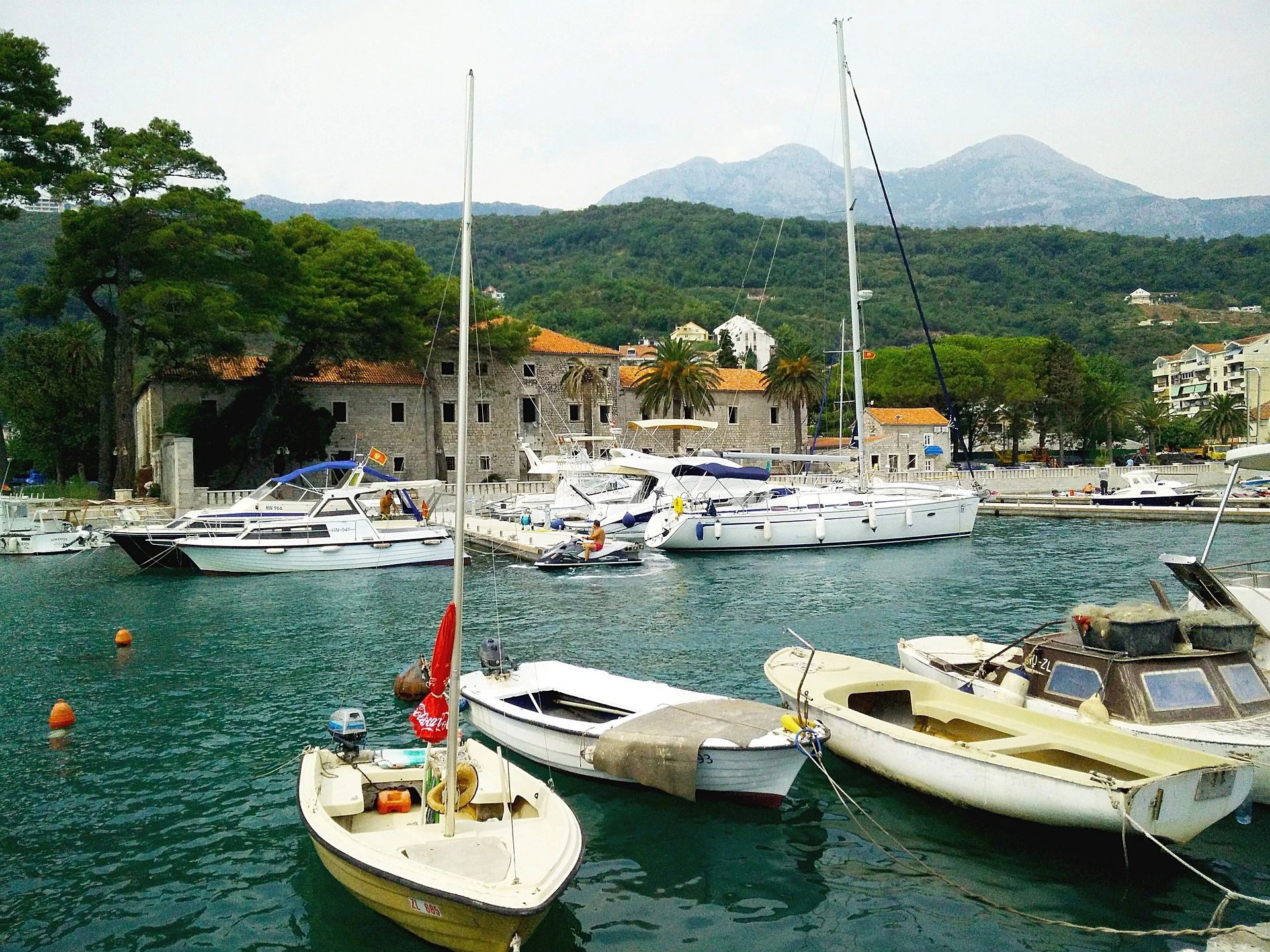 Herceg Novi Dani Mimoze